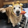 ずみまる