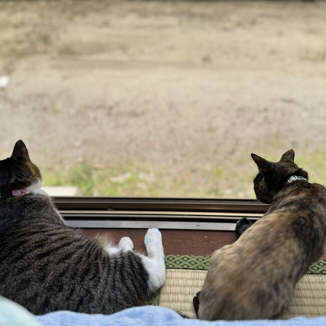 みとみとまのカバー写真