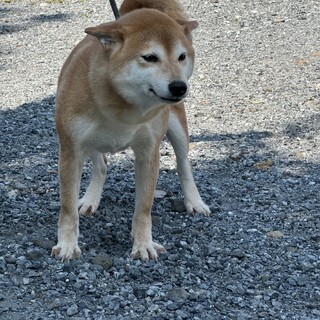 優しく笑顔の可愛い6歳女の子