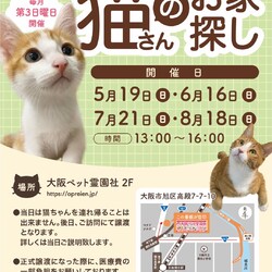第70回 ViVAキャッツ譲渡会
