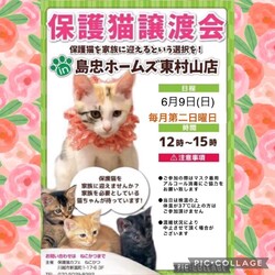 6月9日(日)島忠HOME'S東村山店譲渡会！