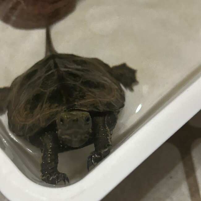 ぽんtaのカバー写真