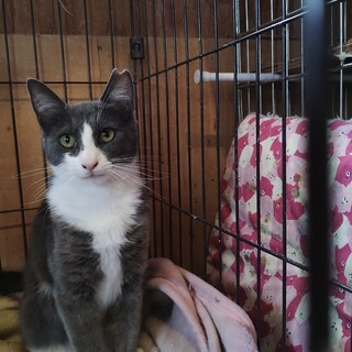 まりこ　　愛くるしいこ抱っこ大好き