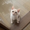 抱っこ大好き甘えん坊くんです