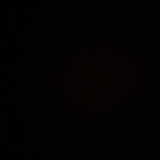 ペルシャ　5歳の女の子