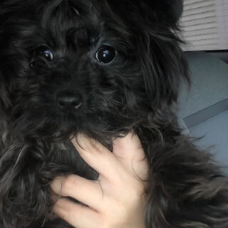 元気で活発な明るい女の子