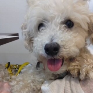 ４㎏の人懐っこいクーベルくん