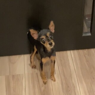 応募多数のため一旦締切ます！ありがとうございます！