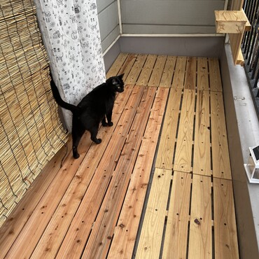 ベランダ全面にスノコ作ってピッチリ敷いたったw これで猫たちゴロゴロ出来る！