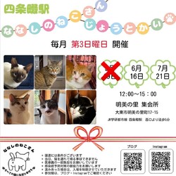 ななしのねこさん譲渡会