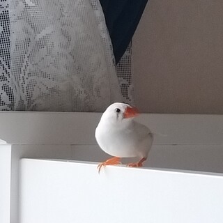 応募下さった方々有り難うございました。