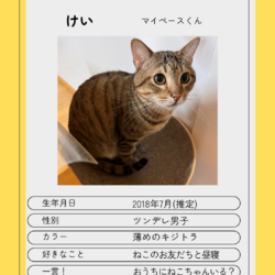 6/16(日)保護猫譲渡会@名古屋 サムネイル3