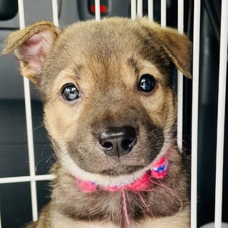 ありがとうございました！ナミ！