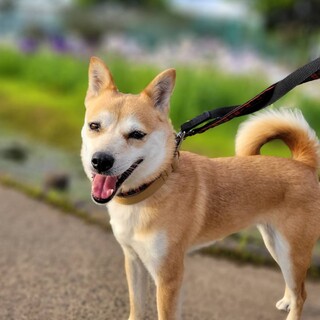 火事から生き延びた＊笑顔が眩しい小さめ女の子