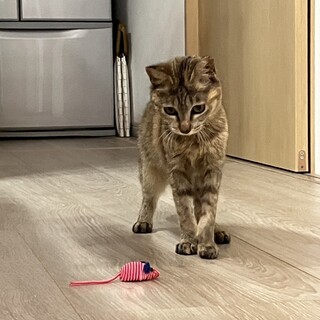 お外で頑張って来た小さな女の子