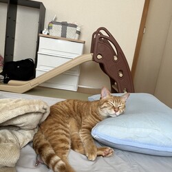 引っ越しました