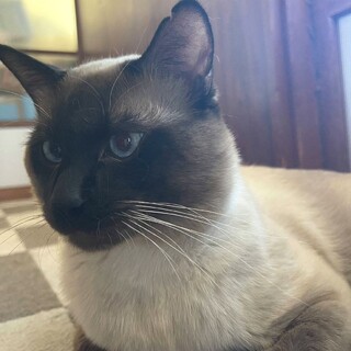 新たなご家族ができました♪