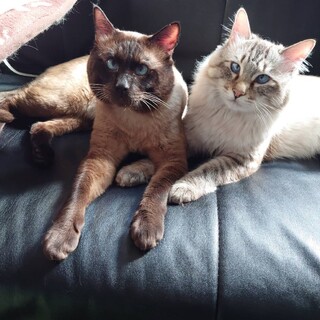 それぞれでのご希望があったため募集終了します