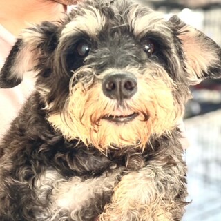 24-W124　訂正がありましたので終了します。