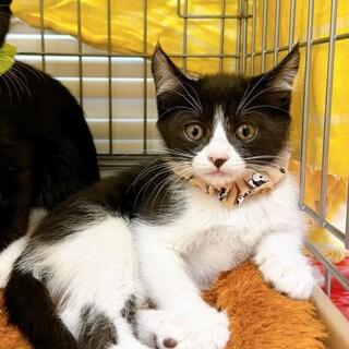 7/14幕張ෆ⃛のんびり屋さんෆ⃛ねるちゃん