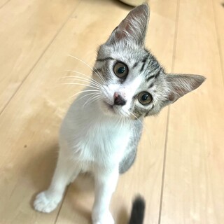 7/14幕張ෆ⃛食いしん坊女子ෆ⃛すももちゃん