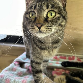 人が大好きな女の子です♡