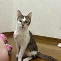自宅で生まれて大きくなりました★