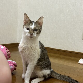 自宅で生まれて大きくなりました★