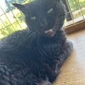 迎えを待ってました…