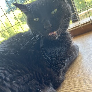 迎えを待ってました…