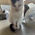 寝るのが大好きです☾