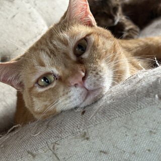 とても酷い捨て方をされました。