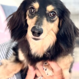 24-W121 クリクリおめめが可愛い♪