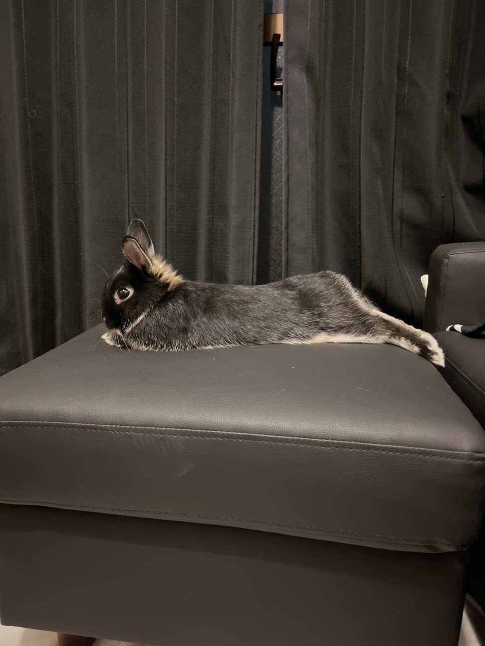 ネザーランド 男の子 交渉中 サムネイル2