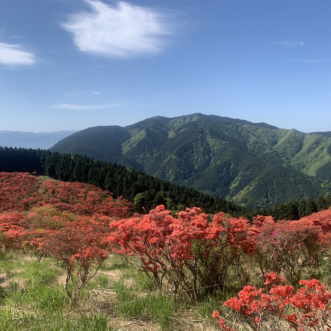 asukaaaaのカバー写真