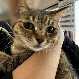 素敵なご家族に迎えていただきました♡のんたん