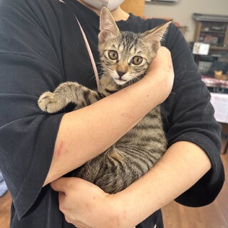 兄弟で家族に迎えていただけました ☆キョウ君