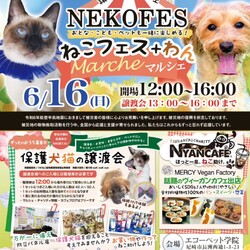 ねこフェス＋わん