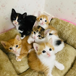 【8/4芝浦】すくすくのびのび成長中★