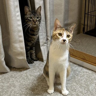 【7/15芝浦】超仲良し★いつもふたりの可愛いペア