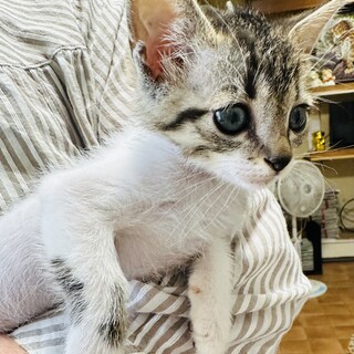 鼻から吸い込みたいくらい可愛い子