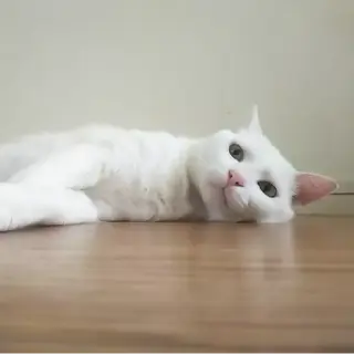 かくれ甘えん坊♡咲くん