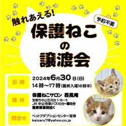 ふれあえる！保護ねこ譲渡会 in 宝塚