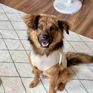 気さく女子 ★ ナル