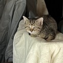 急募(;_;)隣人の方が亡くなってしまい…