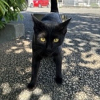 ♡人懐っこい甘えん坊♡