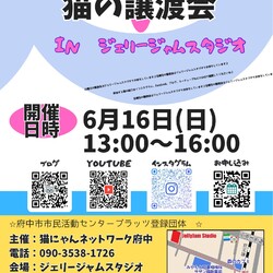 猫の譲渡会