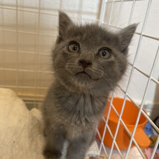 家族ができました！有難うございました！