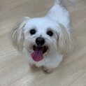 人が大好き甘えん坊♡きらりちゃん8歳