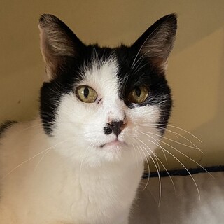 おっとり甘える　まあやちゃん♪